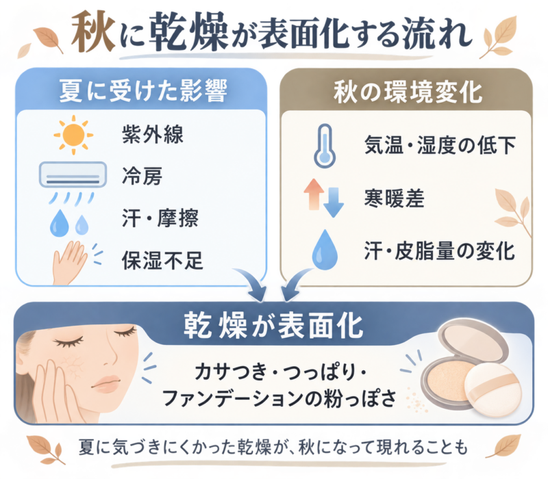 ChatGPT Image 2026年9月21日 15_55_10